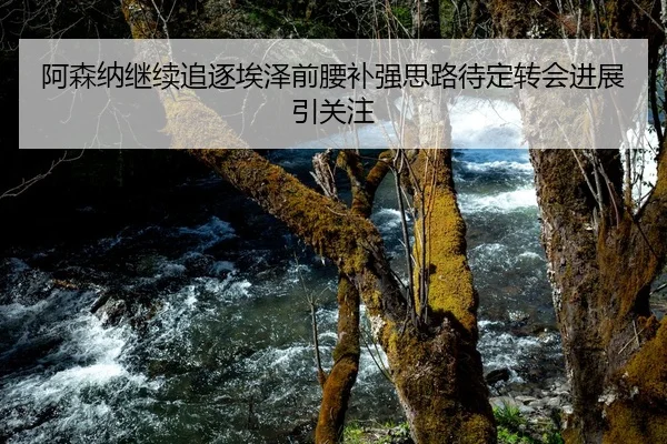 阿森纳继续追逐埃泽前腰补强思路待定转会进展引关注
